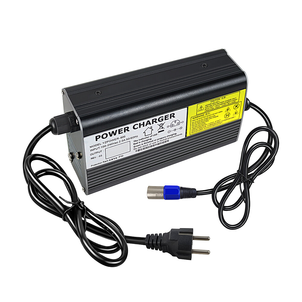 ionic lithium battery charger