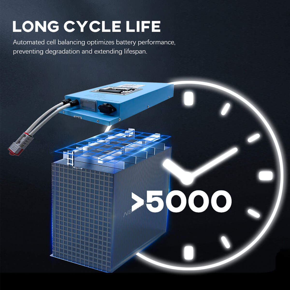 lithium e rickshaw battery price